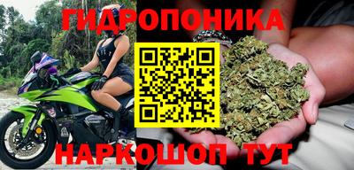 молекула духа Малгобек