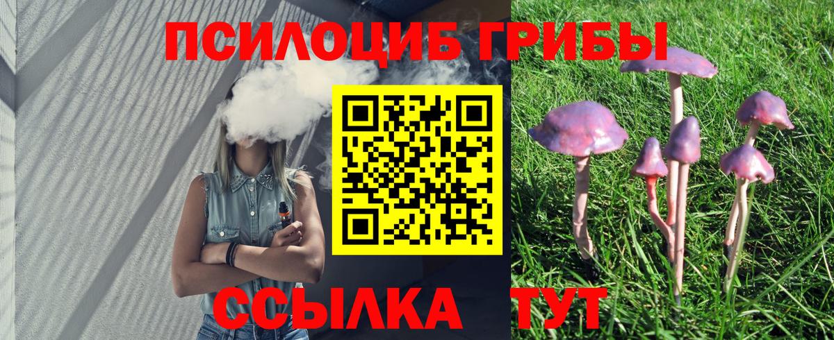 Скопин  Псилоцибиновые грибы мицелий  Галлюциногенные грибы прущие грибы  Вход с VPN 