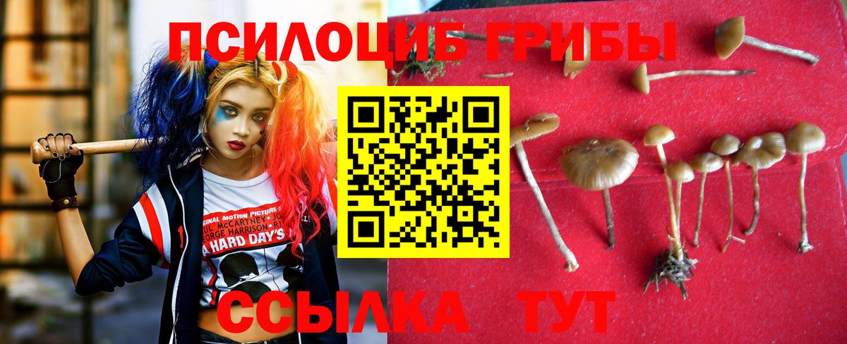 Псилоцибиновые грибы Magic Shrooms Скопин